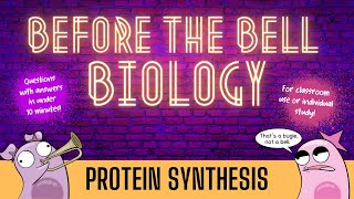 Protein Synthesis: Before the Bell Biology