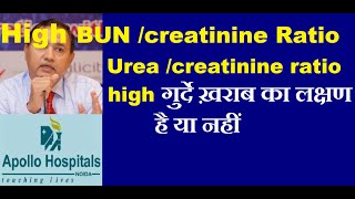 Causes Of High Blood Urea Creatinine Ration Blood Urea Nitrogen Creatinine Ratio Significance Kidne