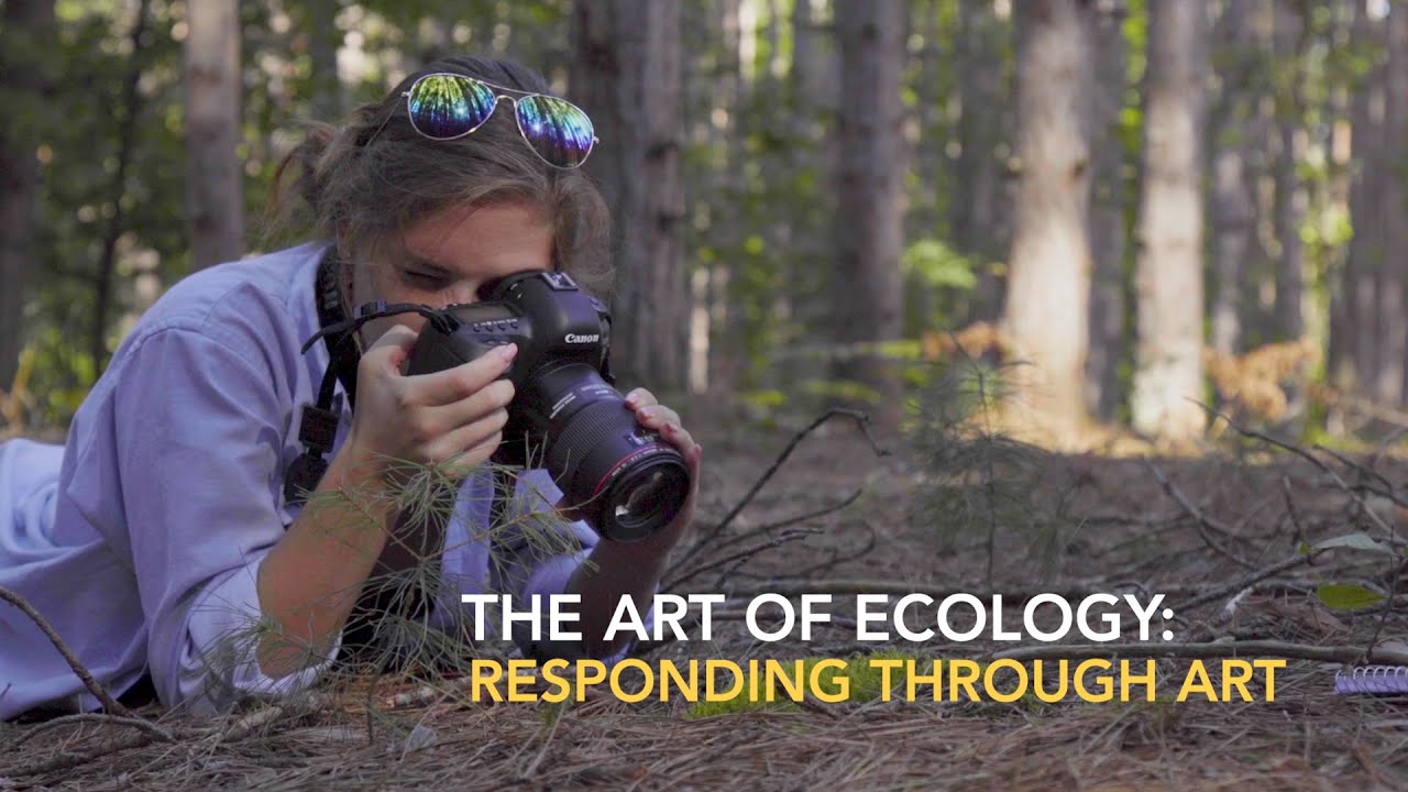 Art and Ecology