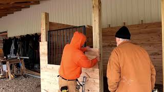 Building a 10' X 10' Stall in the Lean To