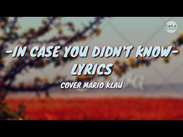 Brett Young - In Case You Didn't Know (Lyrics) Cover Mario G Klau class=