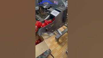 MÁY CẮT LÁT ỚT CHUÔNG CÔNG NGHIỆP, MÁY CẮT LÁT RAU CỦ QUẢ ĐA NĂNG