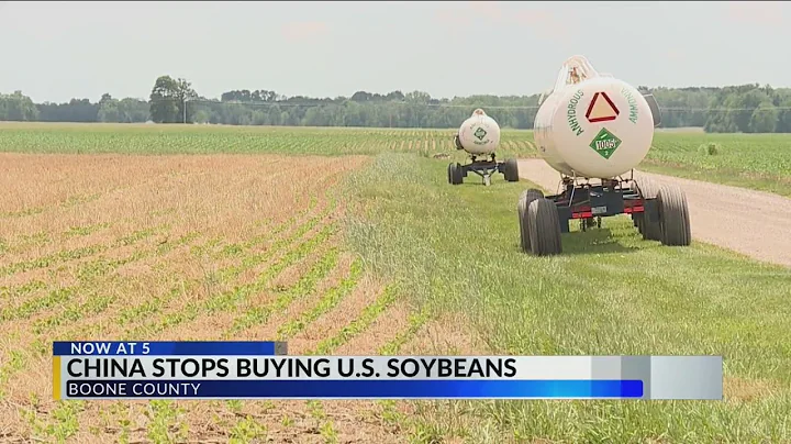 China stops buying U.S.soybeans