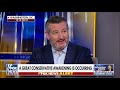 Senator Cruz on the "Ingraham Angle" : Democrats don’t believe in democracy