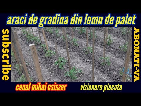 Video: Ce este crud în unghiular?