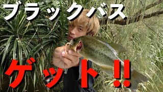 南国でブラックバスを釣る【目指せ50up】