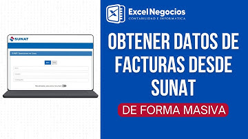 Obtener Datos de Facturas desde SUNAT - Bot Excel