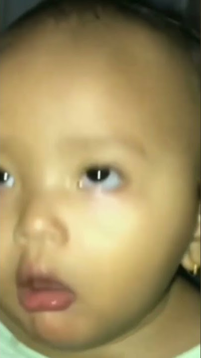 Story wa karisma||scoopy nih bos senggol dong