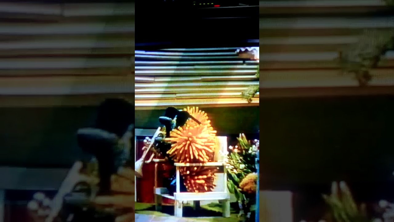 Closing to ferry boat Fred Fred the floating zoo 1992 vhs - YouTube
