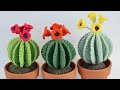 CACTUS REDONDO DE CROCHET CON FLORES