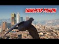 Gangster pigeon  gta 5 rp