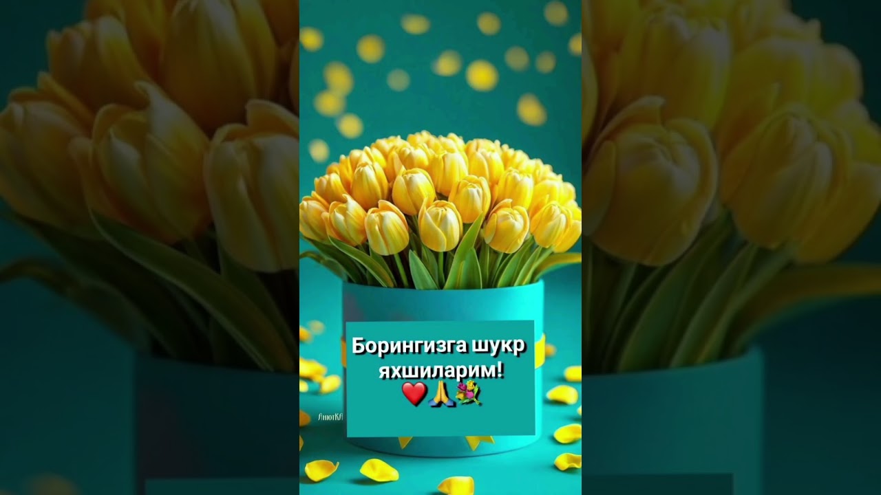 99899 051 43 05  Tabriklar loyixasi! #tugʻilgan kun # tabrik #rek