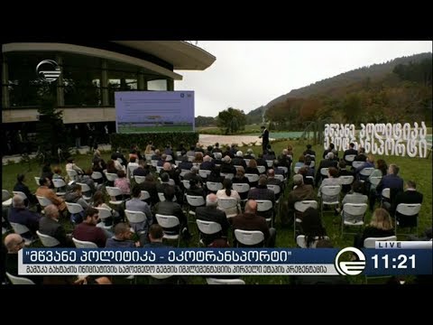 რას გულისხმობს „მწვანე პოლიტიკა   ეკონტრანსპორტის“ პროგრამა