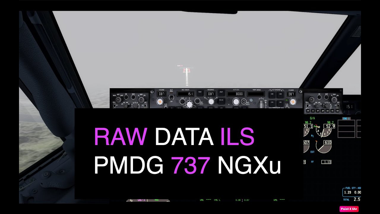 RAW DATA ILS - PMDG 737NGXu - MR EVIATOR