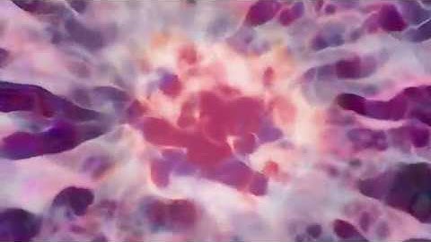 Displacement Flow Experiment