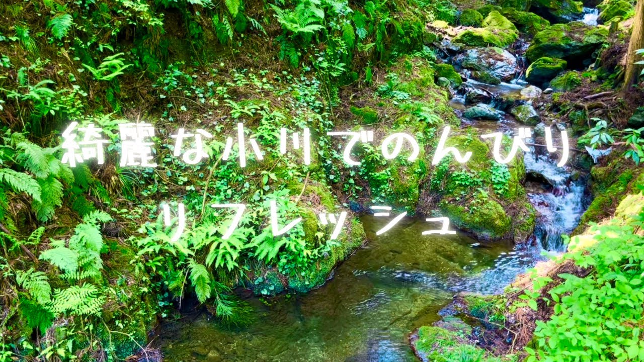 心地よい川のせせらぎと鳥の声[作業用・瞑想用・睡眠用BGM]自然音 - YouTube