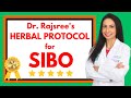 Dr rajsrees herbal protocol for sibo  treat your gas bloating and ibs