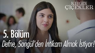 Defne, Songül'den intikam almak istiyor!  Kırgın Çiçekler 5. Bölüm