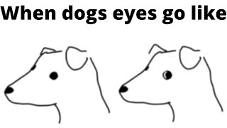 Meme Awards V14