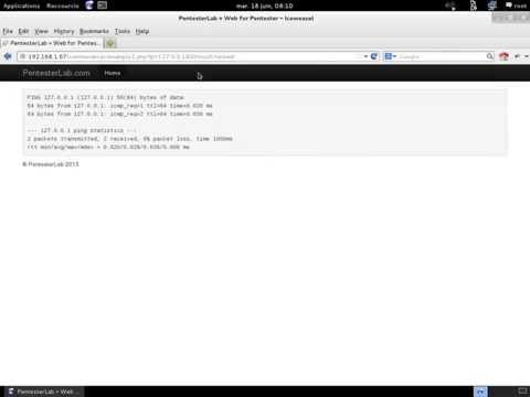 Command injection examples from pentesterlab.com
