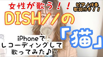 猫あいみょん Youtube