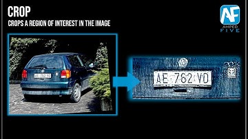 Crop: Crop a Region of Interest in the Image in Amped FIVE