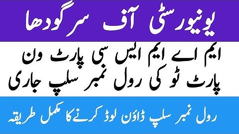MA MSc Roll No Slips Sargodha University  Supply & 2nd Annual 2022  UOS Roll No Slips Bright way