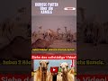 Kuriose Fakten über Kamele Teil 10 #kamel #kamele #tier #tiere #shorts