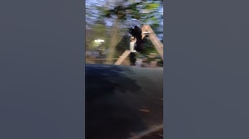 Флип нп сентоне #arrma #senton #bash #flip