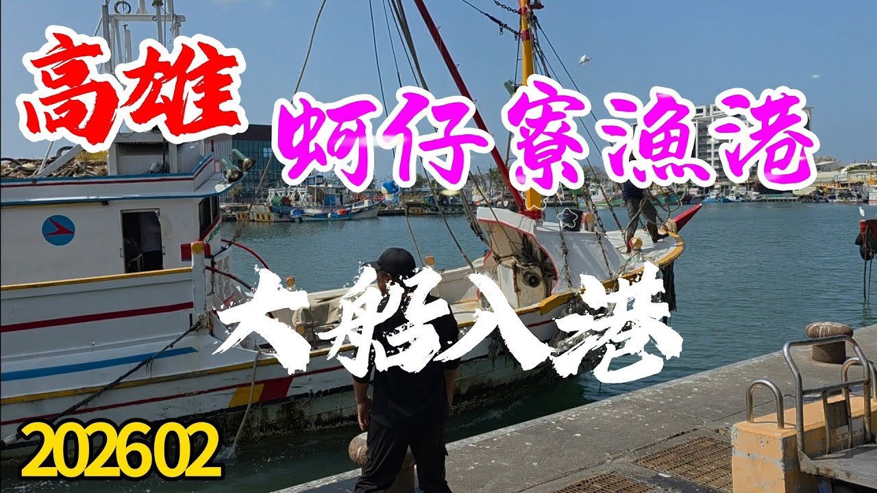 〔高雄蚵仔寮漁港大船入港202602〕高雄蚵仔寮漁港，在農曆年期間出去捕魚？有抓到什麼漁獲啊？來漁港看看吧／紅炎公／厚鱸仔／黑加網／花枝／小卷／螃蟹