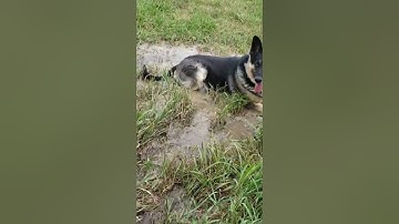 Flowing Artesian well?  We might have a problem...