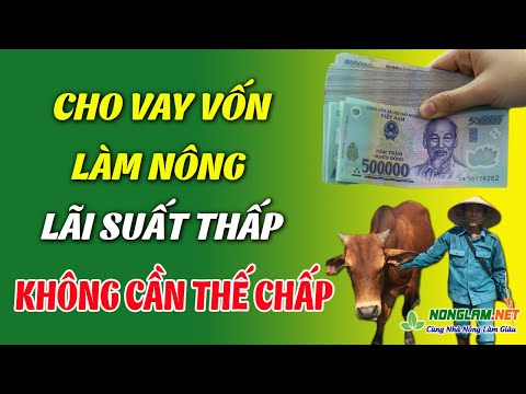 Chương Trình Vay Vốn Làm Nông Nghiệp Không Cần Thế Chấp | Vay Vốn Kinh Doanh Làm Ăn | Foci