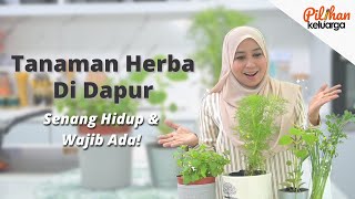 Tanaman Herba Di Dapur Senang Hidup & Wajib Ada!