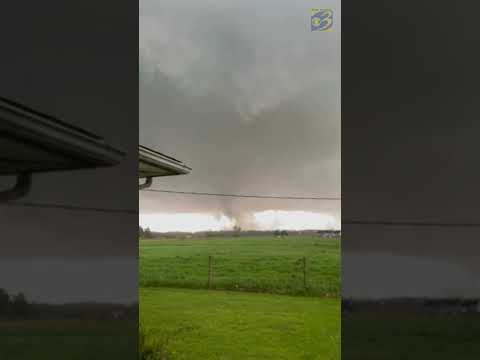 WATCH: Tornado touches down near Leonidas, Michigan