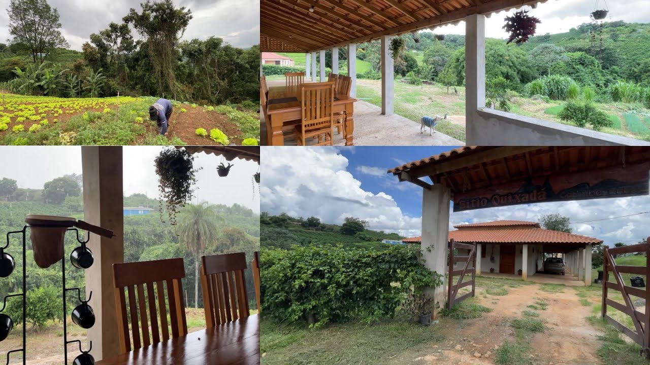 A ROTINA DO SÍTIO SEMPRE SERÁ AMESMA POR AQUI MUITO SERVIÇO 🙌é assim vamos vencendo dia pois dia🙌