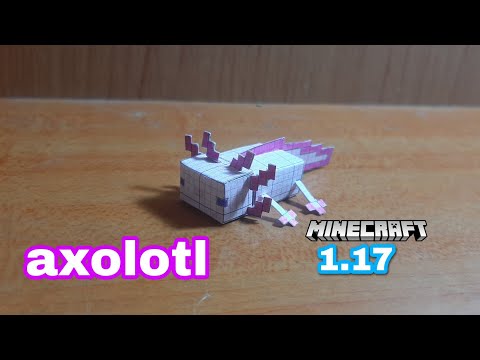 Video Hướng dẫn làm con axolotl (kỳ nhông mexico ) minecraft... - youtube