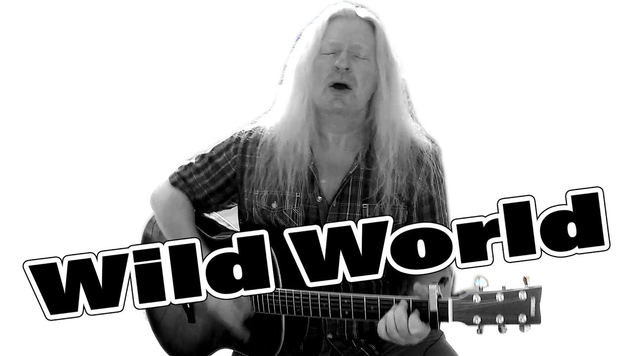 Rochus R o c k  -  Wild World / CAT STEVENS (COVER)