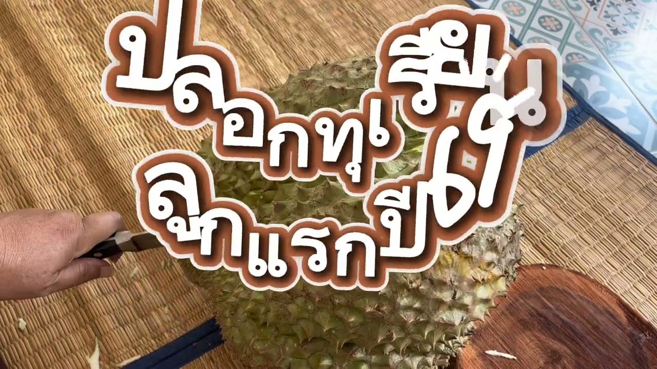 ปลอกทุเรียนลูกใหญ่มาก(ยาก?) - พี่เสมอชาแนล