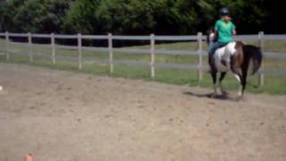 jumping 2'9 bareback