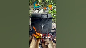 A Prayer of Gratitude in Simplicity: Finding Joy in the Heart of Nature. #shorts