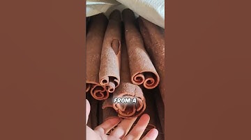 The Secret Behind Cinnamon: How It’s Harvested #virals #fypシviralシ2024 #fypシ