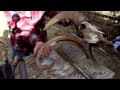 Wyoming's Tom Lucas Making Sheep Horn Bows
