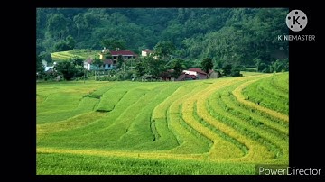 Dân ca Tày_Tì phuông lầu đây mjạc Thể hiện: NSUT Nông Văn Khang