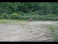 CR125r dirt and sand