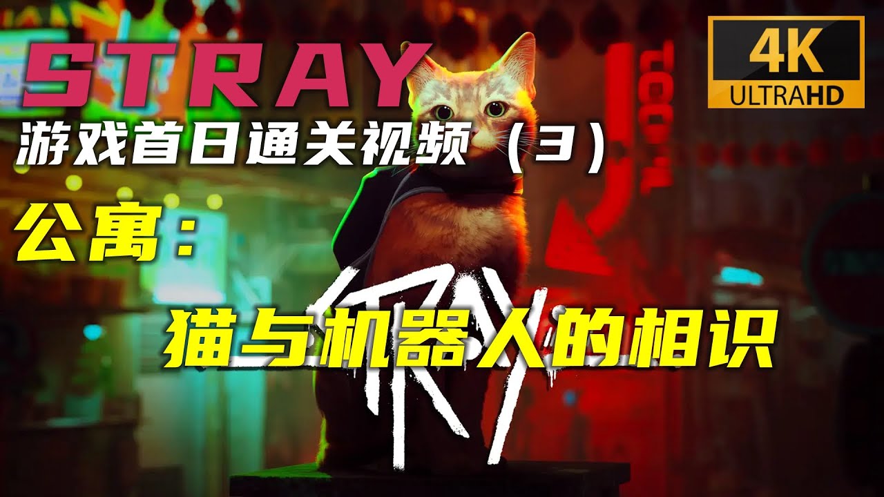 【游戏4K通关视频】 STRAY (3) 公寓 猫与机器人的相识 - YouTube