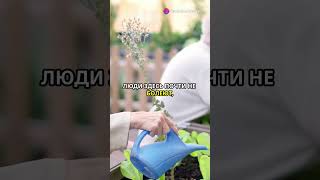 Как дожить до ста лет? Узнай секрет!  #СекретДолголетия #ДолгаяЖизнь #Япония #Греция #Окинава#Икария