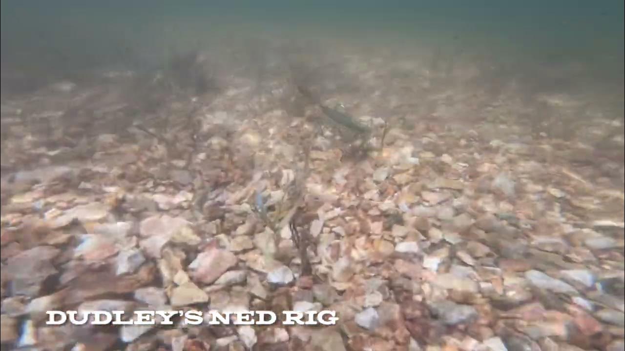 David Dudley's Ned Rig - Underwater Footage 