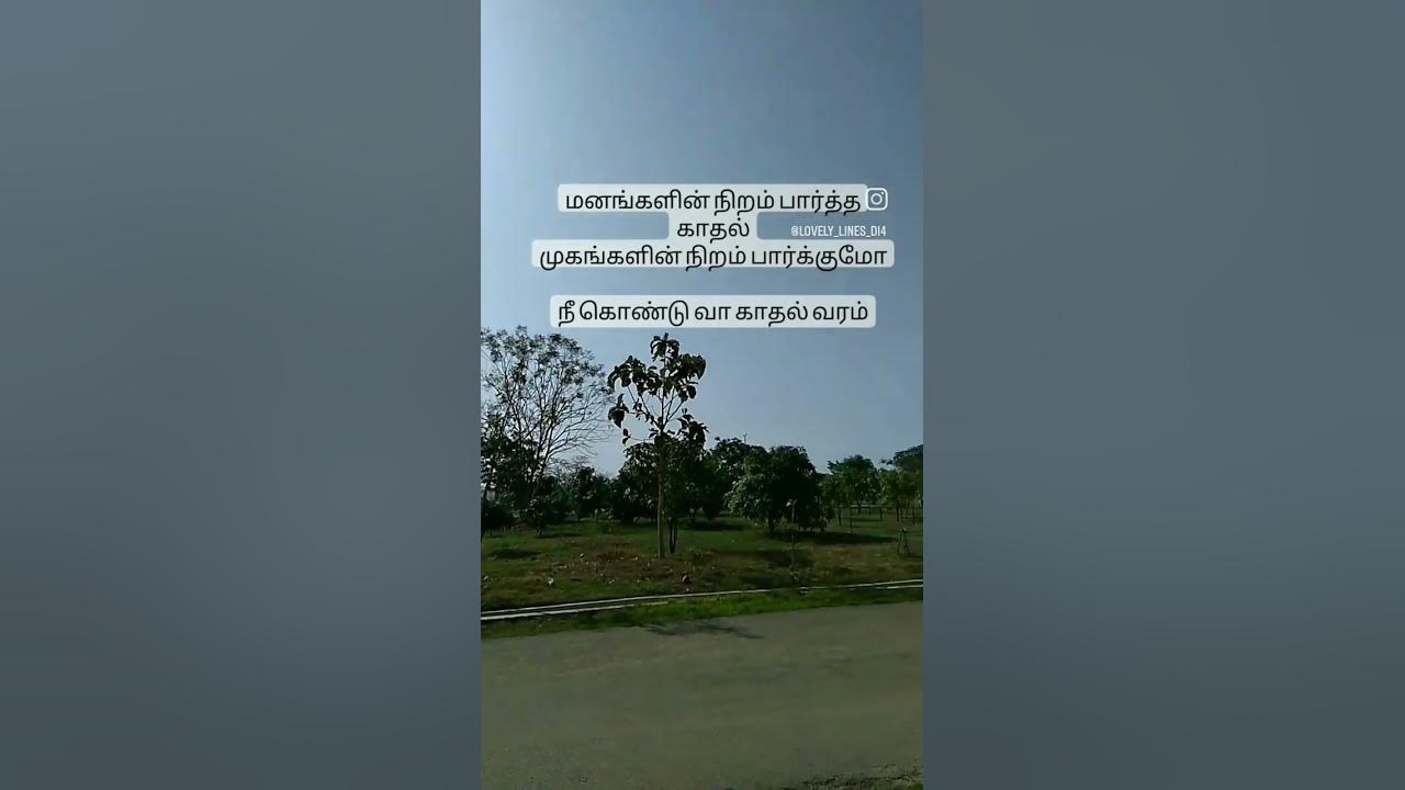 vellai pura ondru... #tamil #today #love #instagram #reels #status #2023