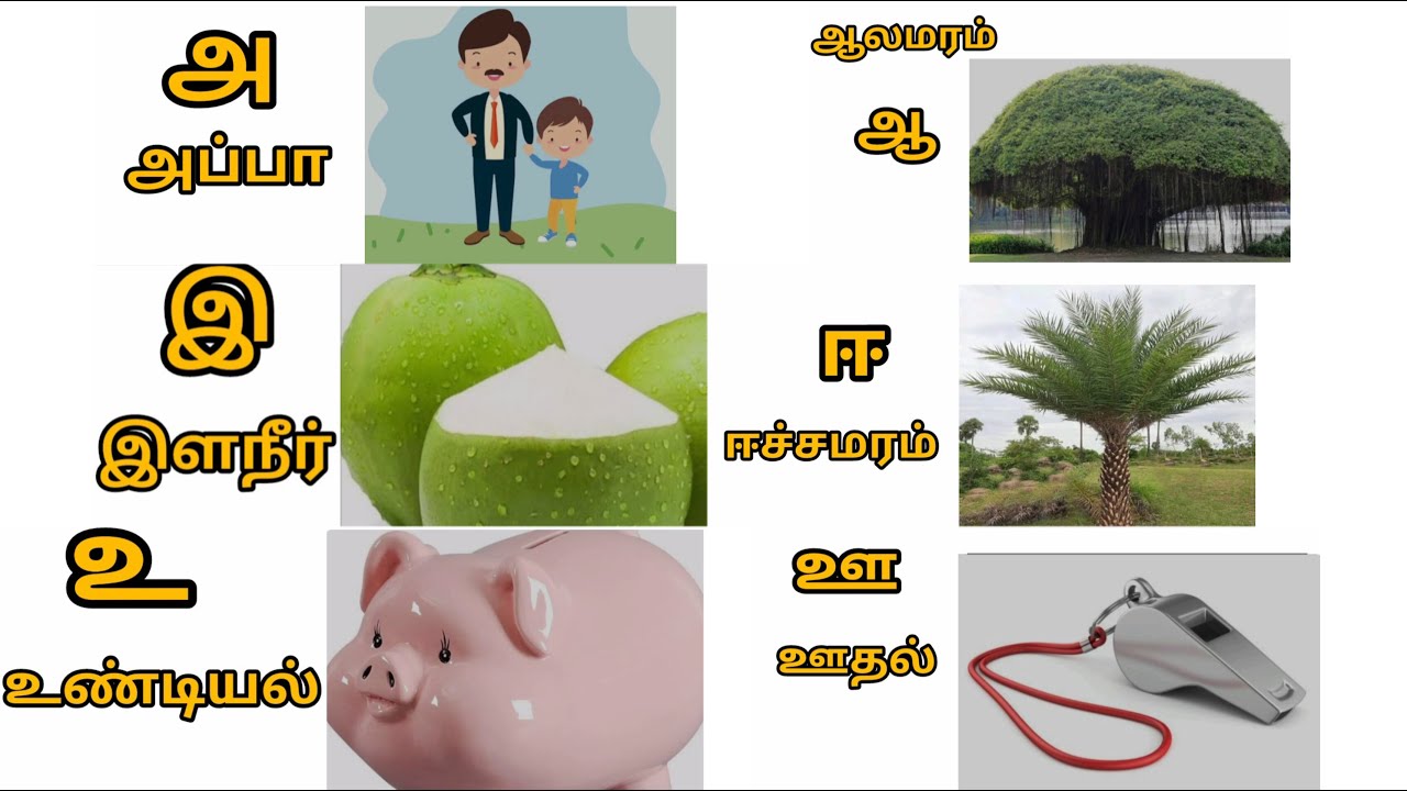 உயிர் எழுத்துக்கள் #அ #ஆ#இ#ஈ#உ#ஊ#எ#ஏ#ஐ#ஒ#ஓ#ஒள#ஆயுத எழுத்து #ஃ| #தமிழ் ...