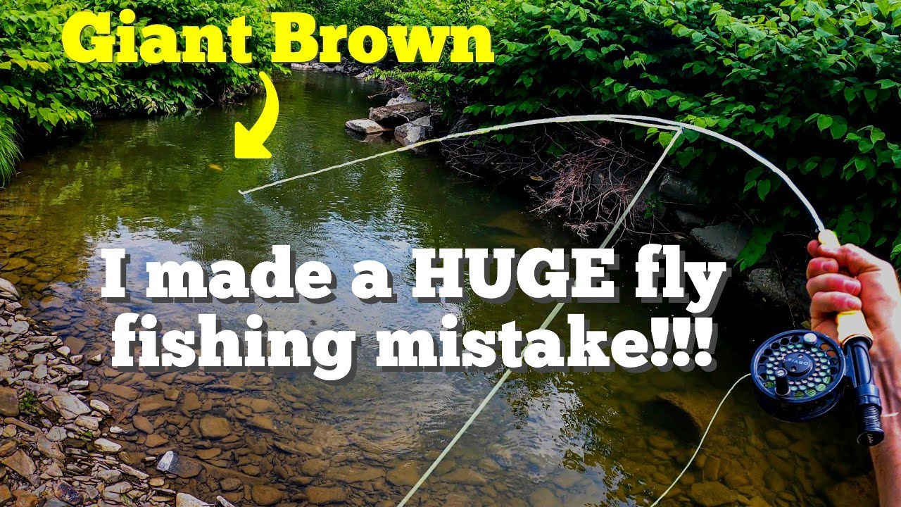 Ручьевая форель – нахлыстовая рыбалка в Южном регионе штата Нью-Йорк